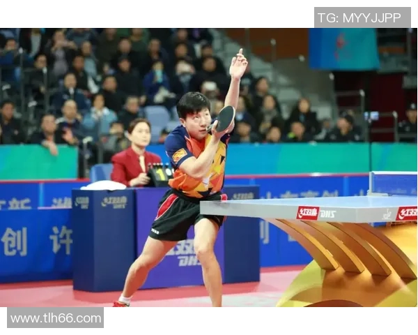 乒乓球运动发展历程与技术创新对全球体育文化的深远影响分析