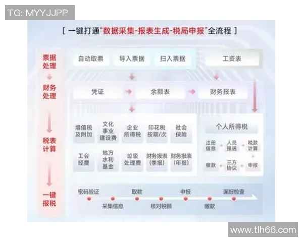 税务数字化转型：推动税收管理创新与税务服务升级的实践与挑战